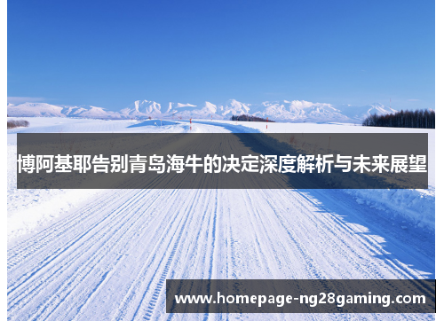 博阿基耶告别青岛海牛的决定深度解析与未来展望