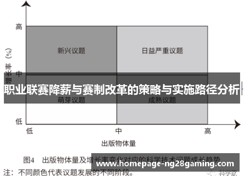职业联赛降薪与赛制改革的策略与实施路径分析