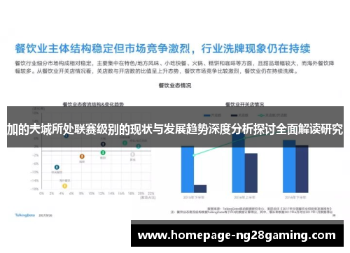 加的夫城所处联赛级别的现状与发展趋势深度分析探讨全面解读研究